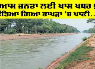 Bhakra Canal Haryana