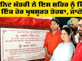 Cabinet Minister Aman Arora