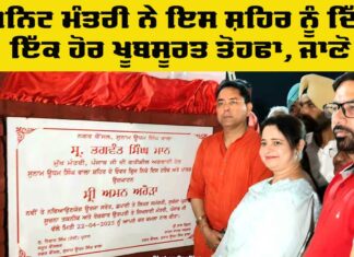 Cabinet Minister Aman Arora