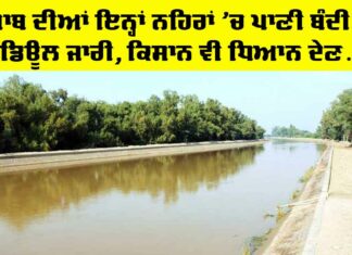 Canals of Punjab