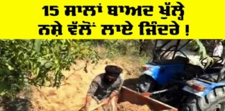 Drugs Free Punjab