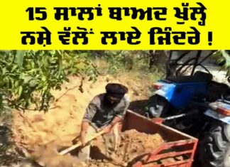 Drugs Free Punjab
