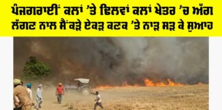 Faridkot News