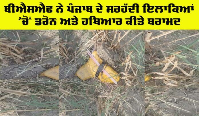 Ferozepur News