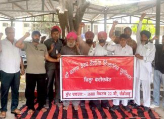 International Labour Day