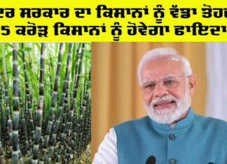Farmers News