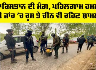 Pahalgam Terror Attack