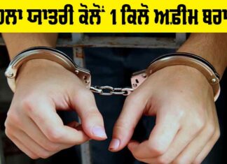 Patiala News