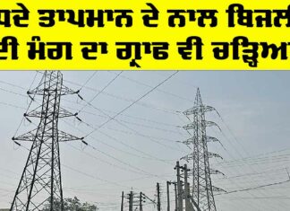 Punjab Electricity News