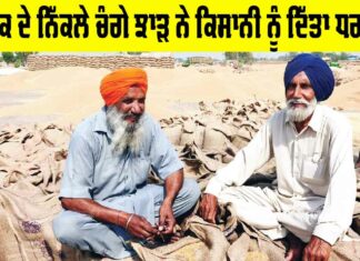 Punjab Farmers News: