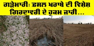 Punjab Government Orders