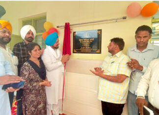 Punjab Government Schools