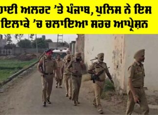 Punjab News