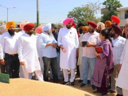 Punjab News
