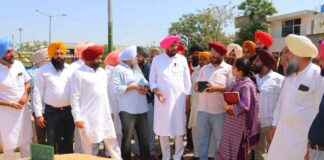 Punjab News