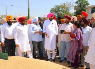 Punjab News