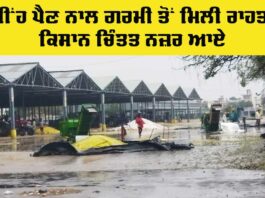Punjab Rain