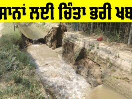 Talwandi Sabo Farmer News