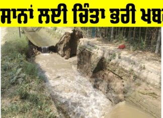 Talwandi Sabo Farmer News