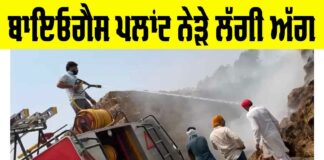 Talwandi Sabo News