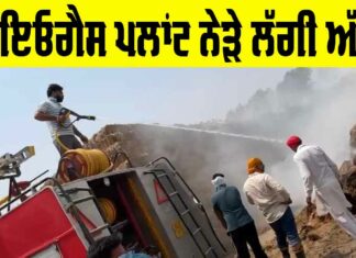 Talwandi Sabo News