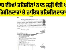 Tehsildar and Naib Tehsildar