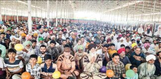Three in One MSG Bhandara