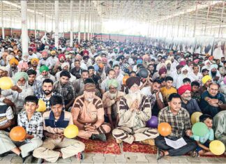 Three in One MSG Bhandara