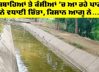 Water Problem