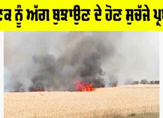 Wheat Fire