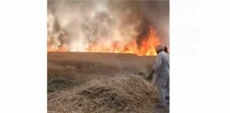 Wheat Crop Fire