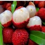fruit