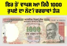 1000 Currency Notes