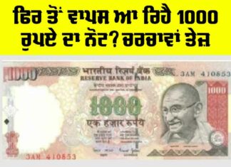 1000 Currency Notes