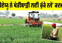 Agriculture News Punjab