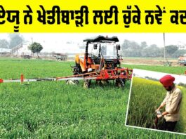 Agriculture News Punjab