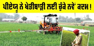 Agriculture News Punjab