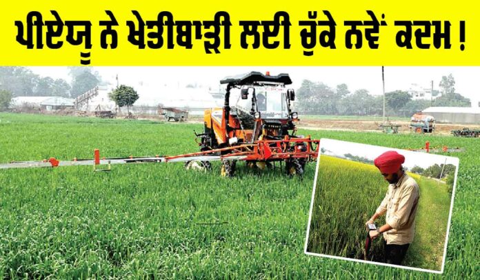 Agriculture News Punjab
