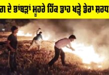Barnala News