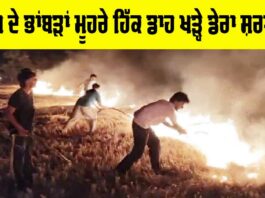 Barnala News