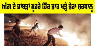 Barnala News