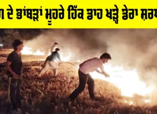Barnala News