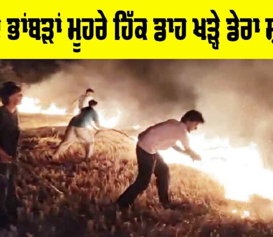 Barnala News