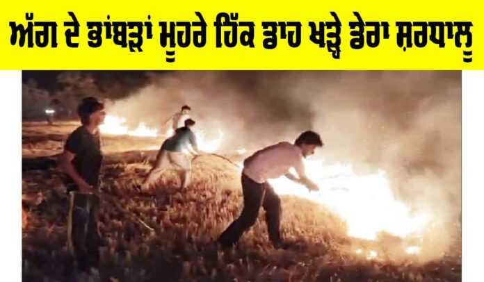 Barnala News