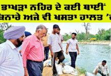 Bhakra Canal News
