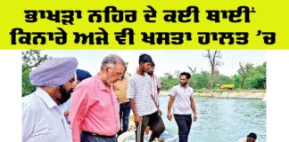 Bhakra Canal News