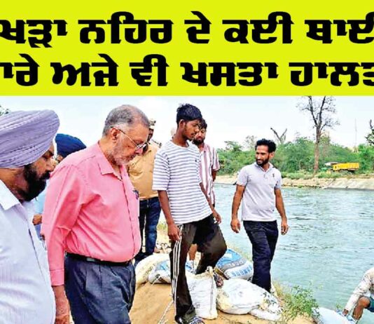 Bhakra Canal News