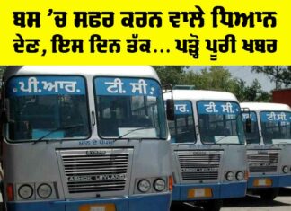 Bus Strike