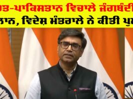 Ceasefire India Pakistan