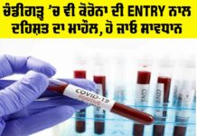 Chandigarh Corona News